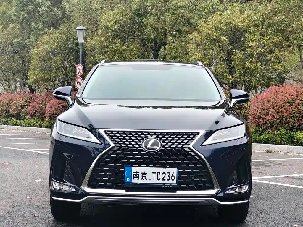 Lexus RX — фото 10