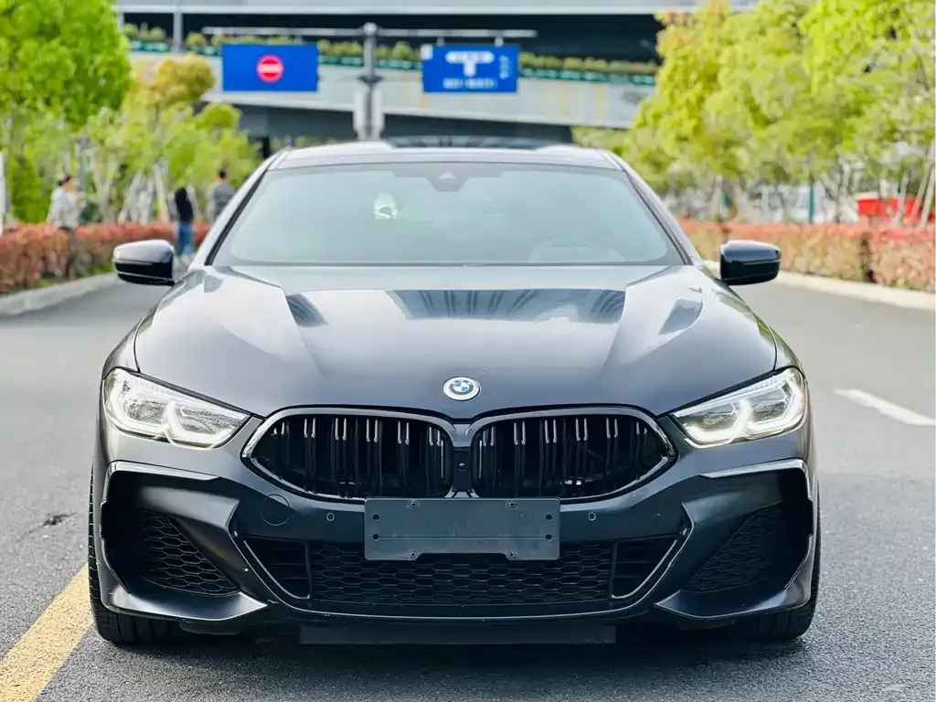 BMW 8 Series 2021 из CN, фото 4