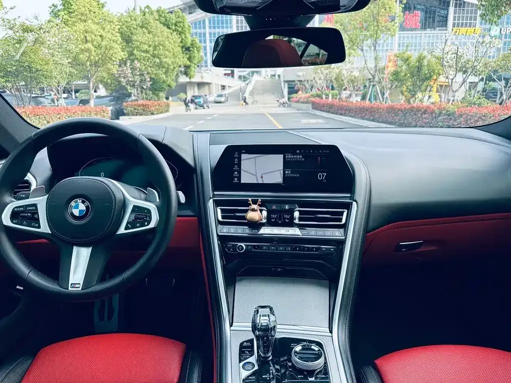 BMW 8 Series 2021 из CN, фото 9