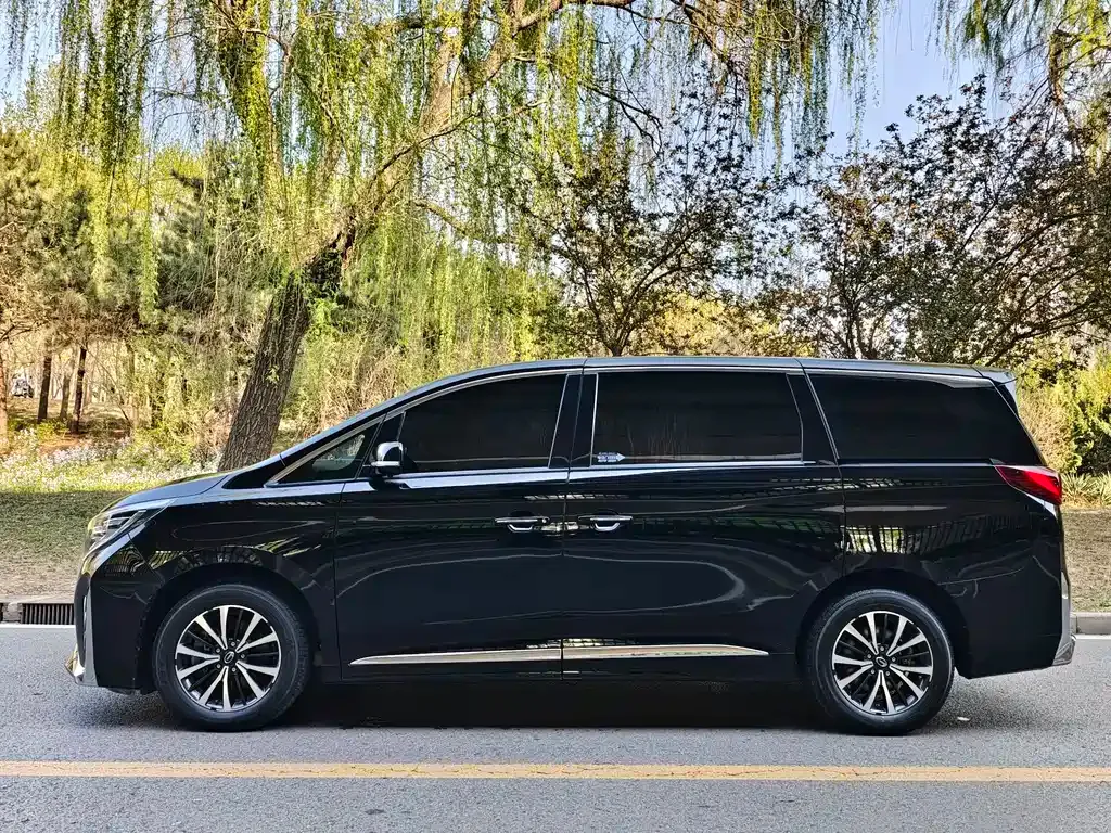 GAC Motor Trumpchi M8 — фото 9