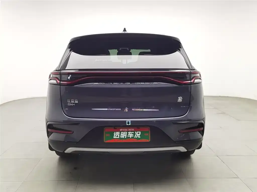BYD Tang New Energy 2022 из CN, фото 3