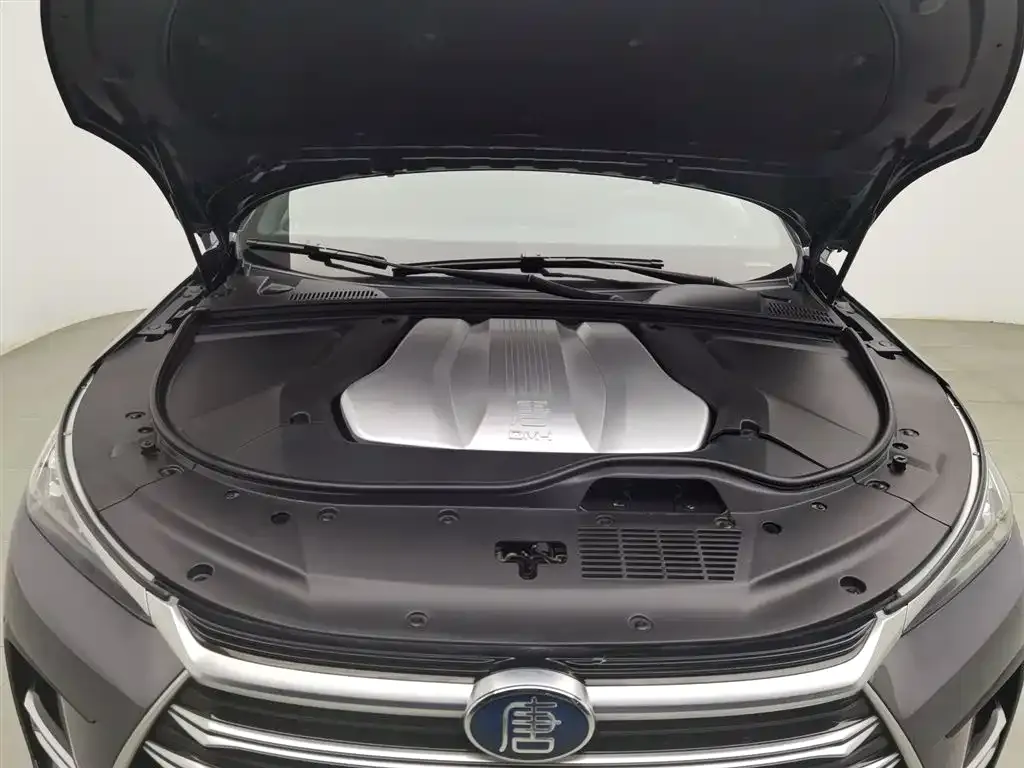 BYD Tang New Energy 2022 из CN, фото 8