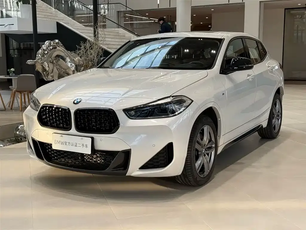 BMW X2 — фото 1