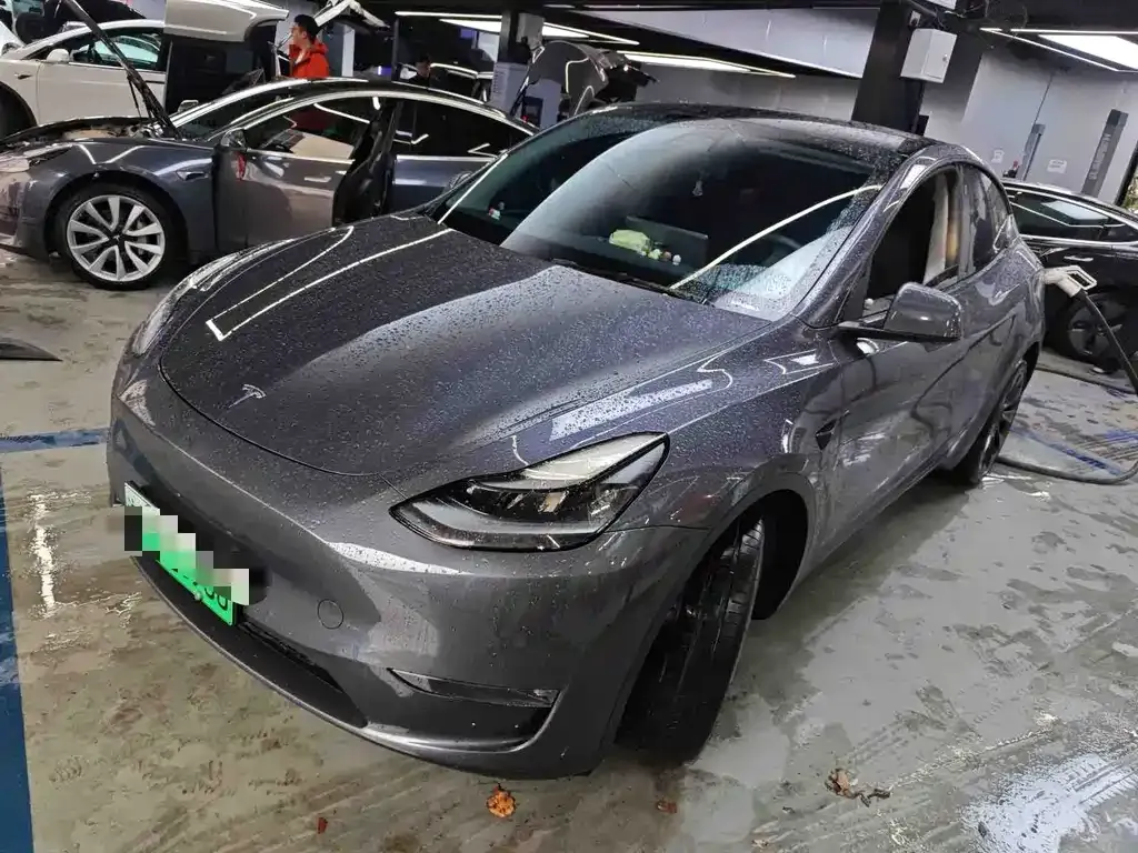 Tesla Model Y 2021 из CN, фото 1
