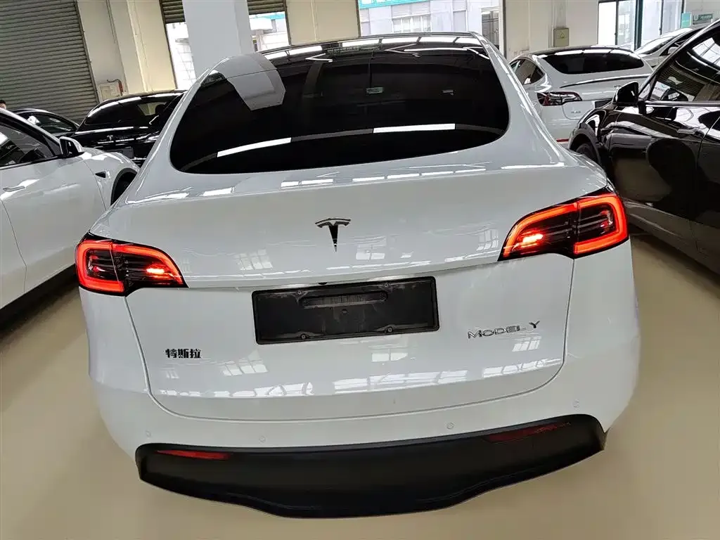 Tesla Model Y — фото 2