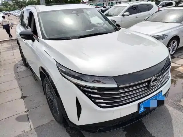 Nissan Teramont 2024 из CN, фото 3