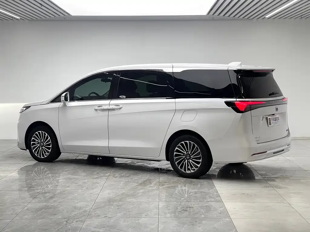 Buick GL8 Hybrid 2025 из CN, фото 9