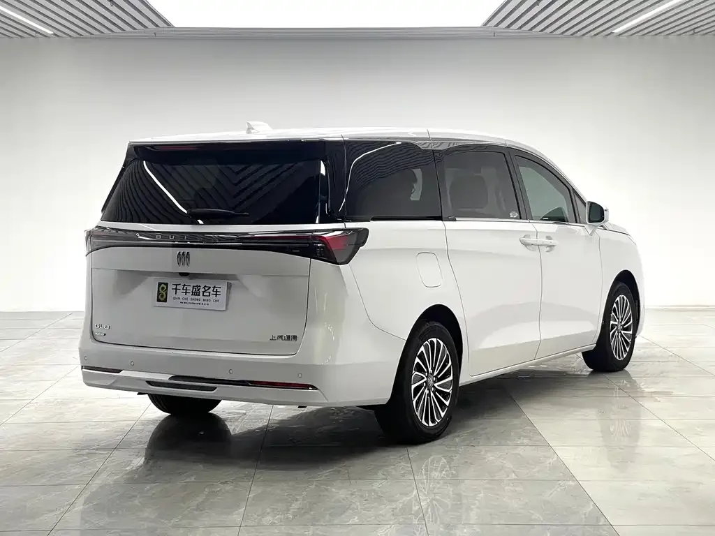 Buick GL8 Hybrid 2025 из CN, фото 8