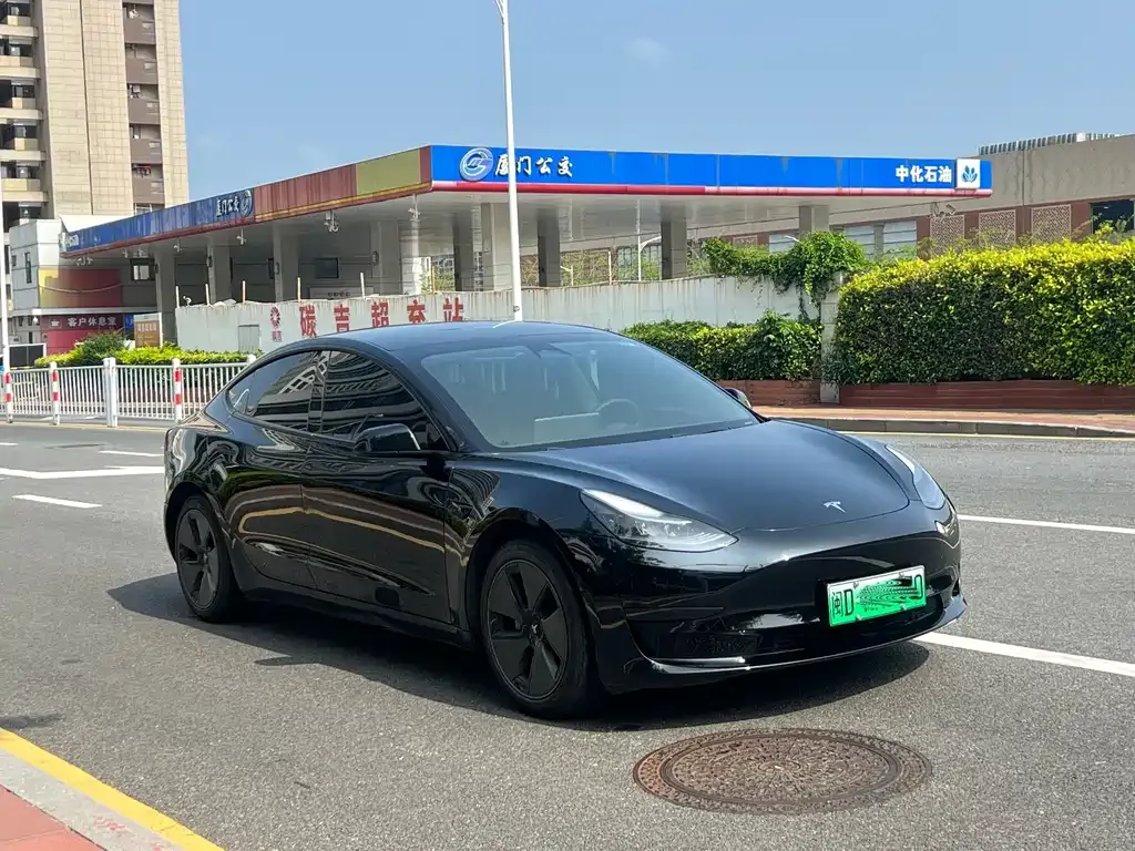 Tesla Model 3 — фото 3