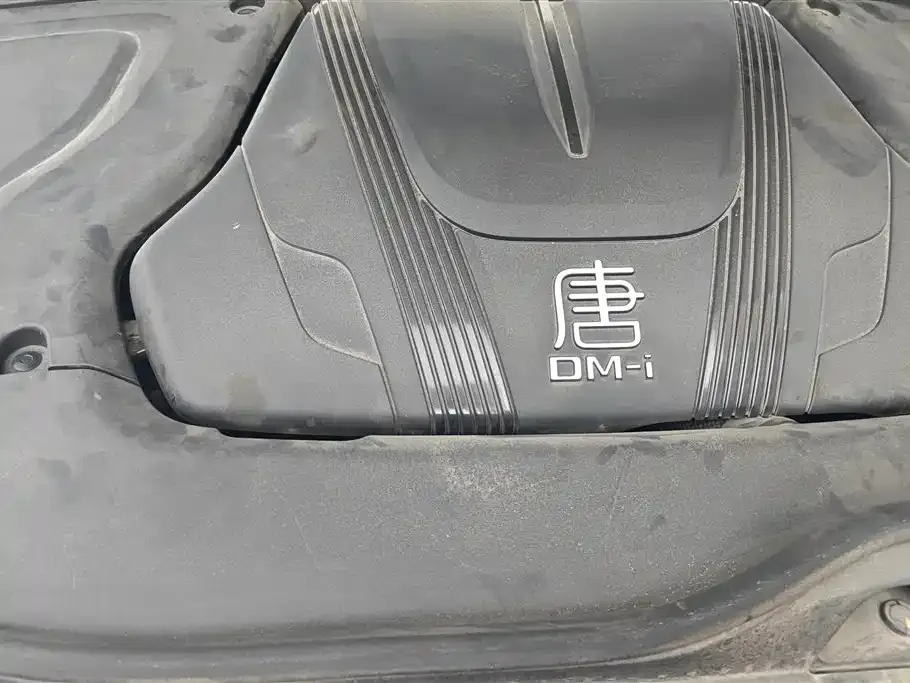 BYD Tang New Energy 2023 из CN, фото 4