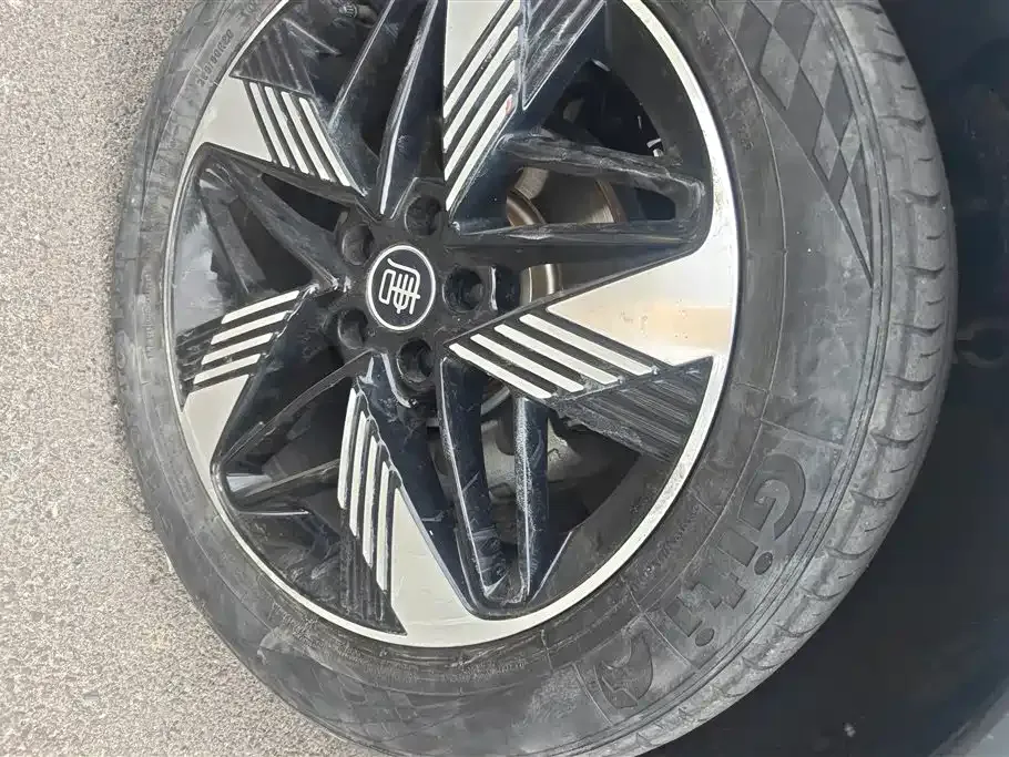 BYD Tang New Energy 2023 из CN, фото 8