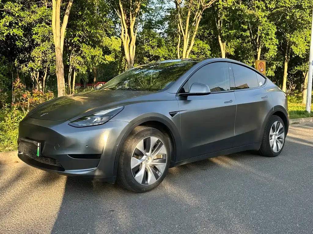 Tesla Model Y 2022 из CN, фото 1