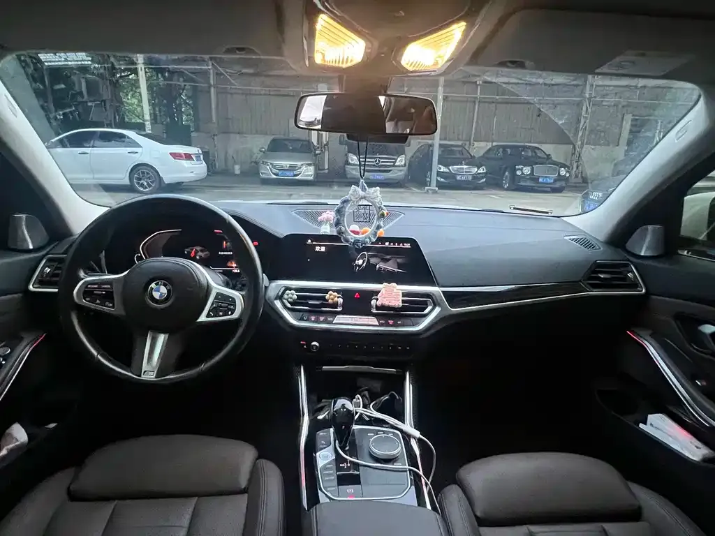 BMW 3 Series 2021 из CN, фото 7