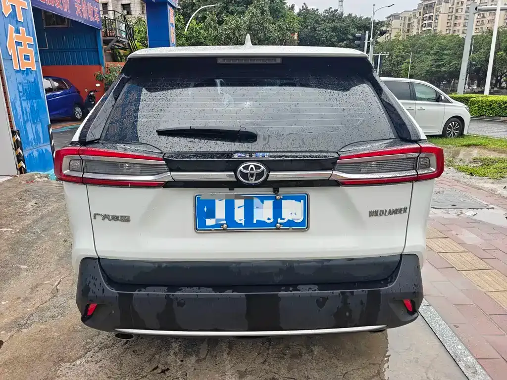 Toyota Wildlander 2023 из CN, фото 9