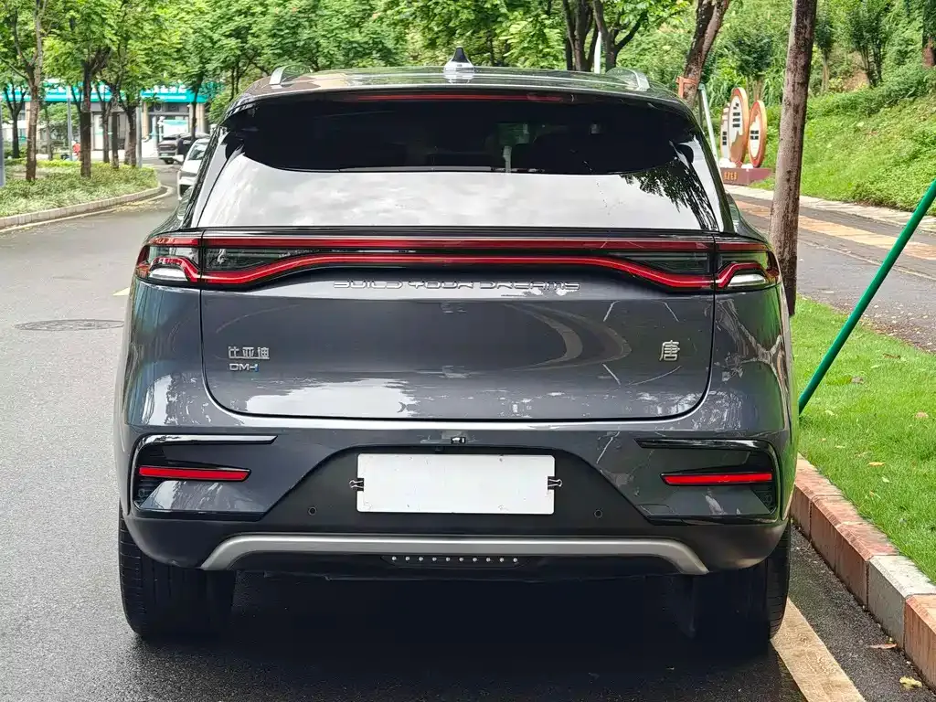 BYD Tang New Energy — фото 10