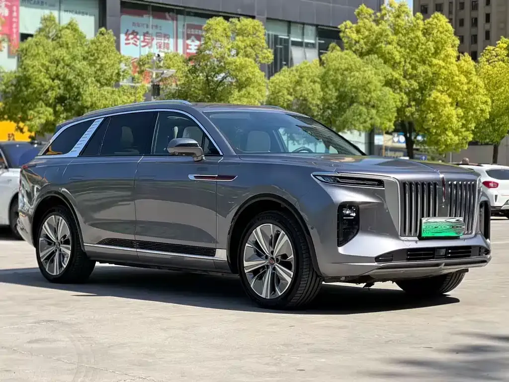 Hongqi E-HS9 2023 из CN, фото 5