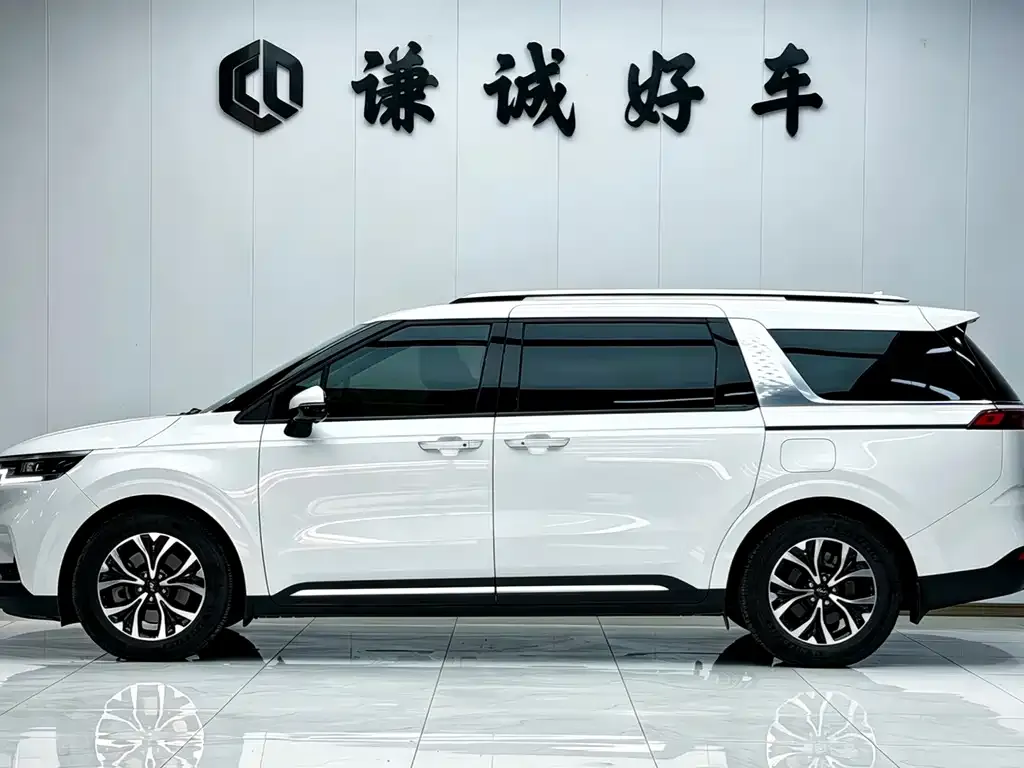 Kia Carnival 2022 из CN, фото 6