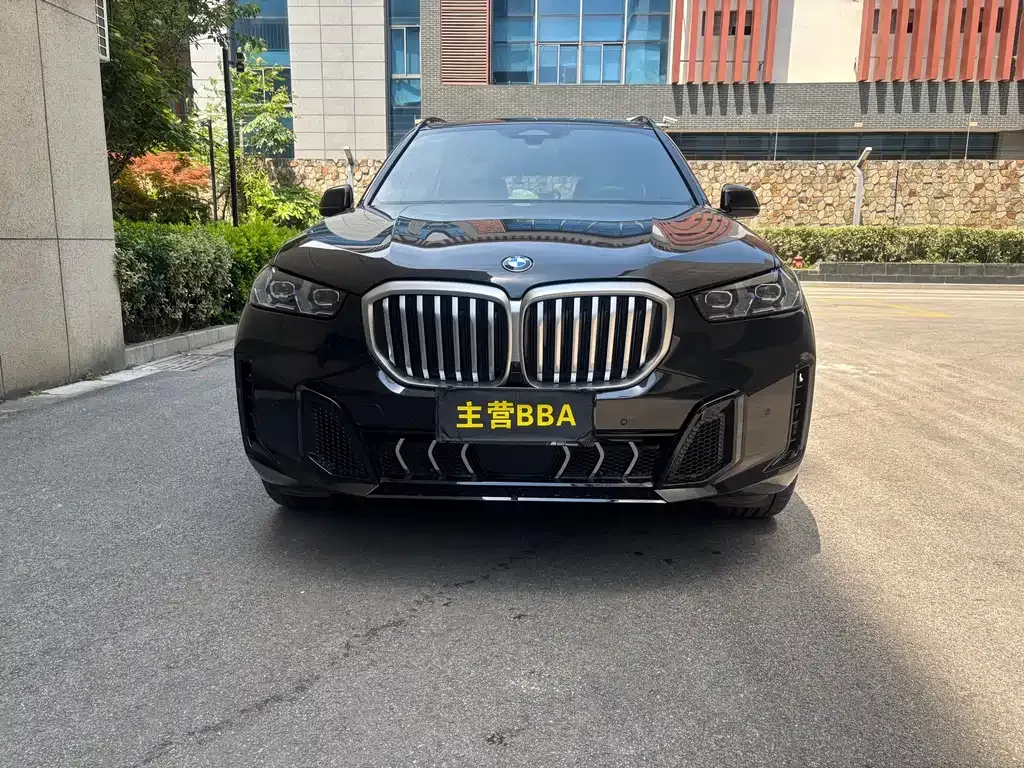 BMW X5 2025 из CN, фото 6