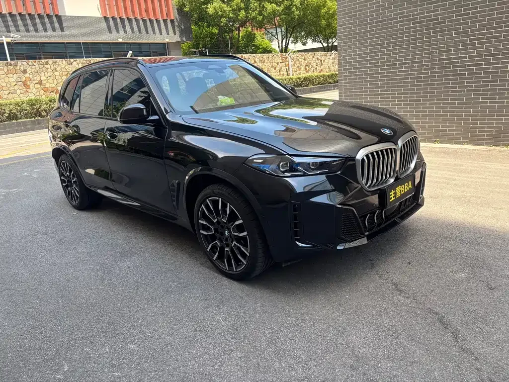 BMW X5 2025 из CN, фото 9