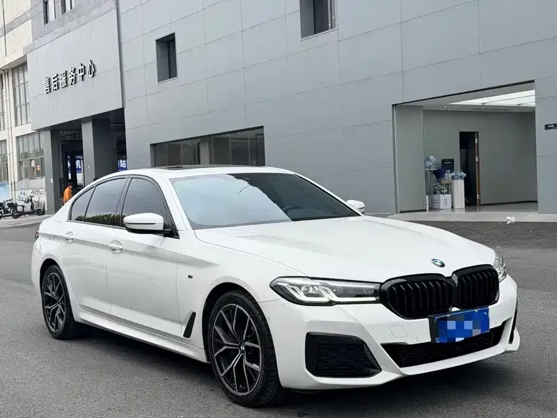BMW 5 Series (Import) 2021 из CN, фото 5