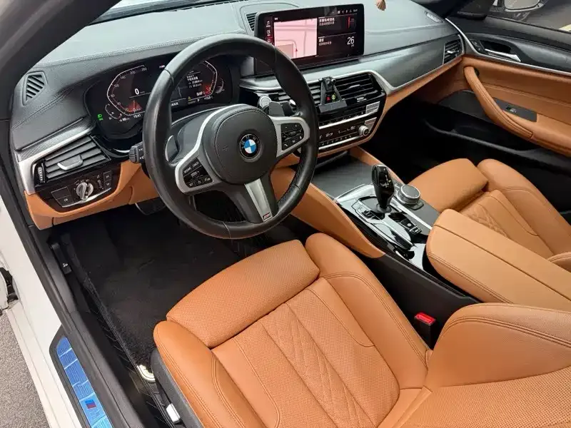 BMW 5 Series (Import) 2021 из CN, фото 7