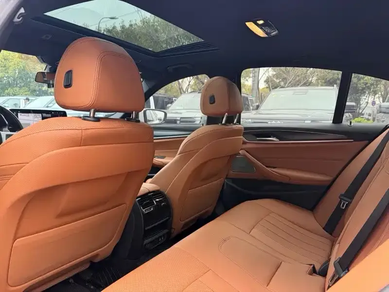 BMW 5 Series (Import) 2021 из CN, фото 3