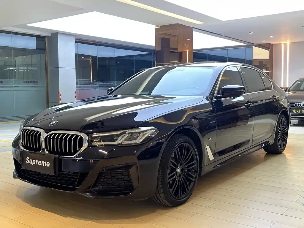 BMW 5 Series 2021 из CN, фото 1