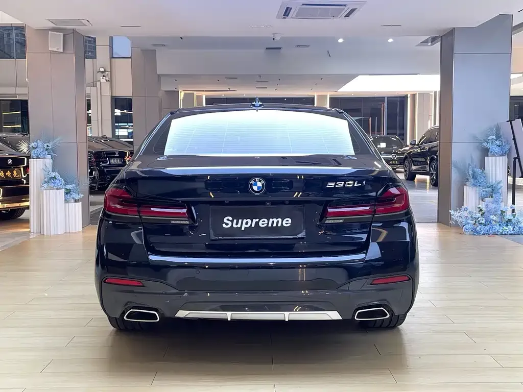 BMW 5 Series 2021 из CN, фото 2