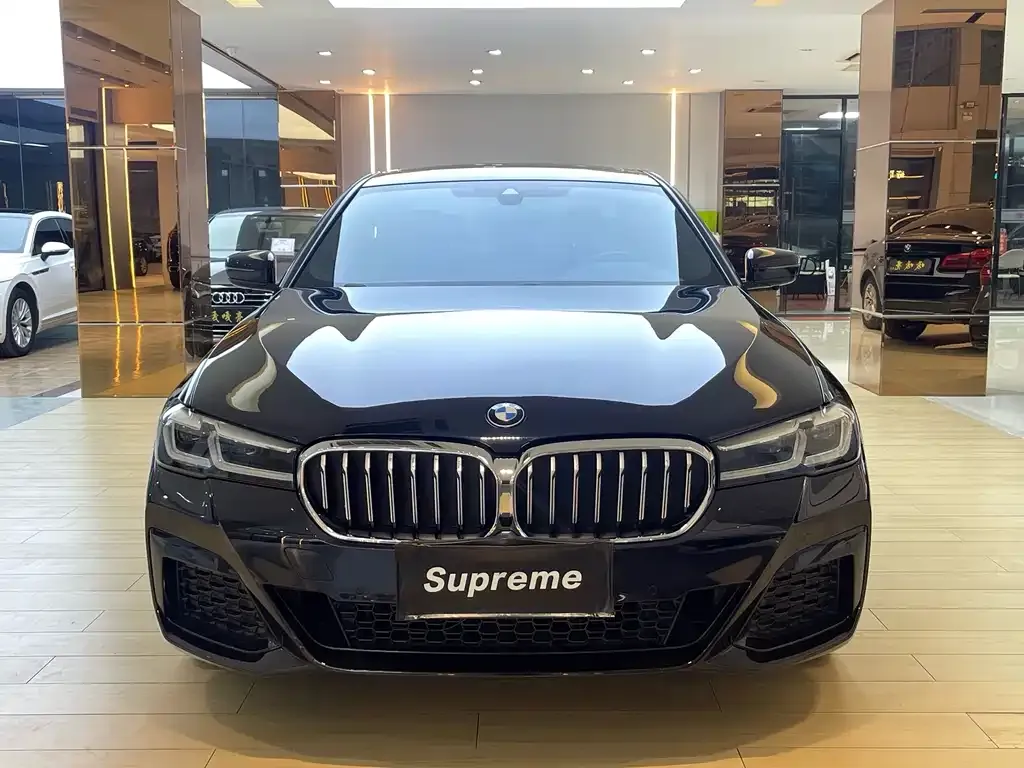 BMW 5 Series 2021 из CN, фото 5