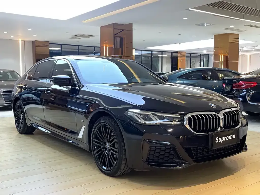 BMW 5 Series 2021 из CN, фото 9