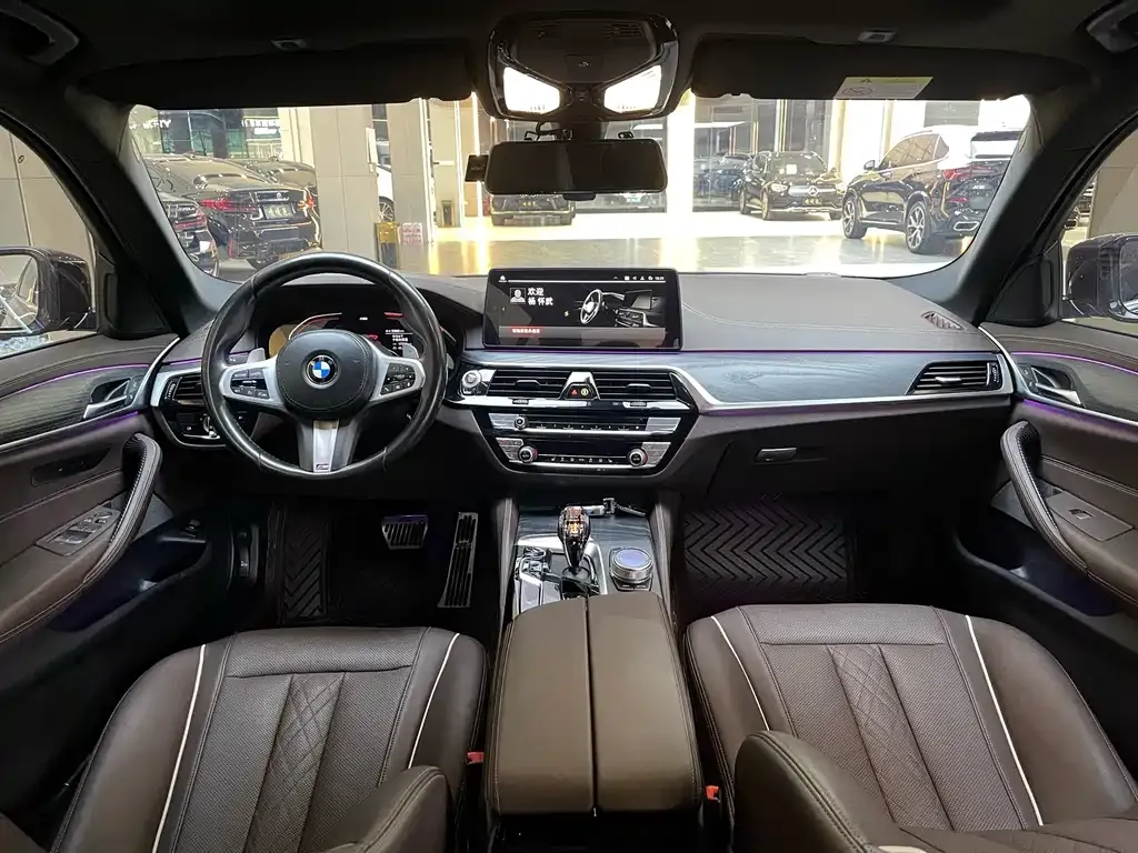 BMW 5 Series 2021 из CN, фото 7