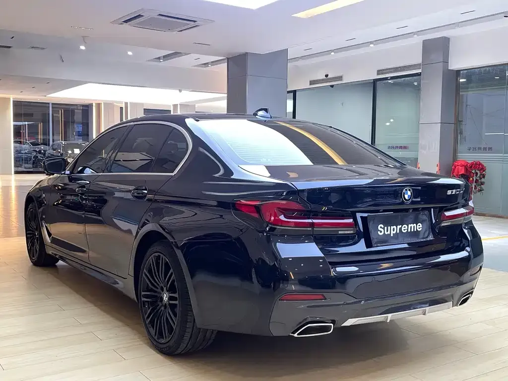 BMW 5 Series 2021 из CN, фото 4