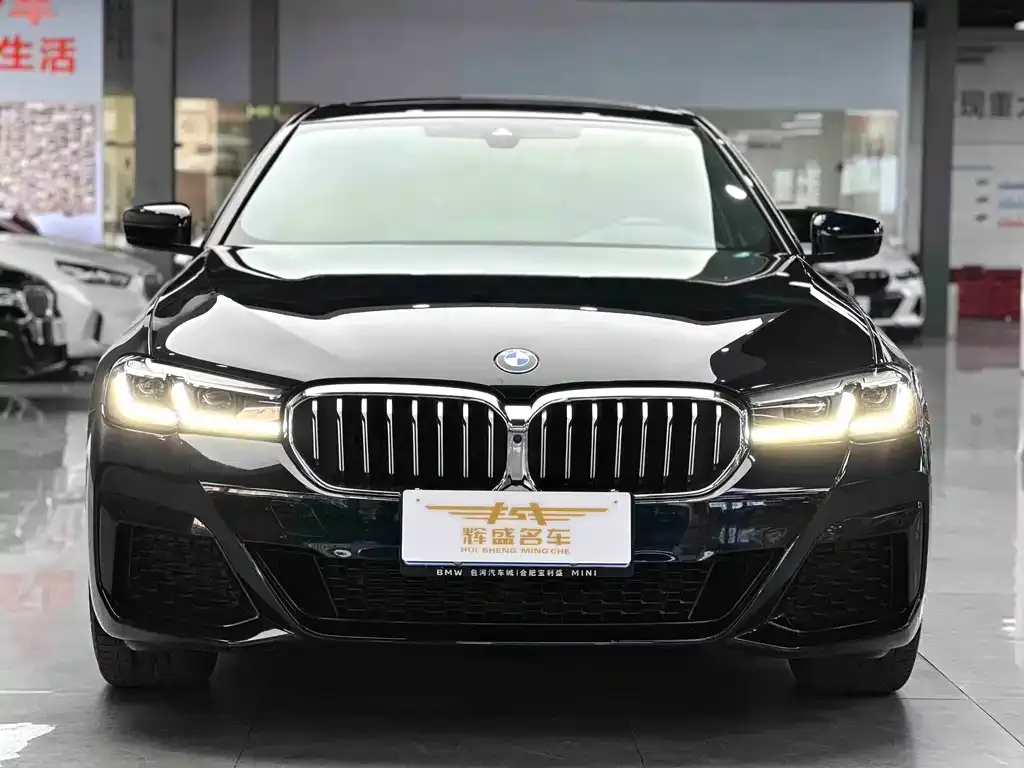 BMW 5 Series 2023 из CN, фото 5