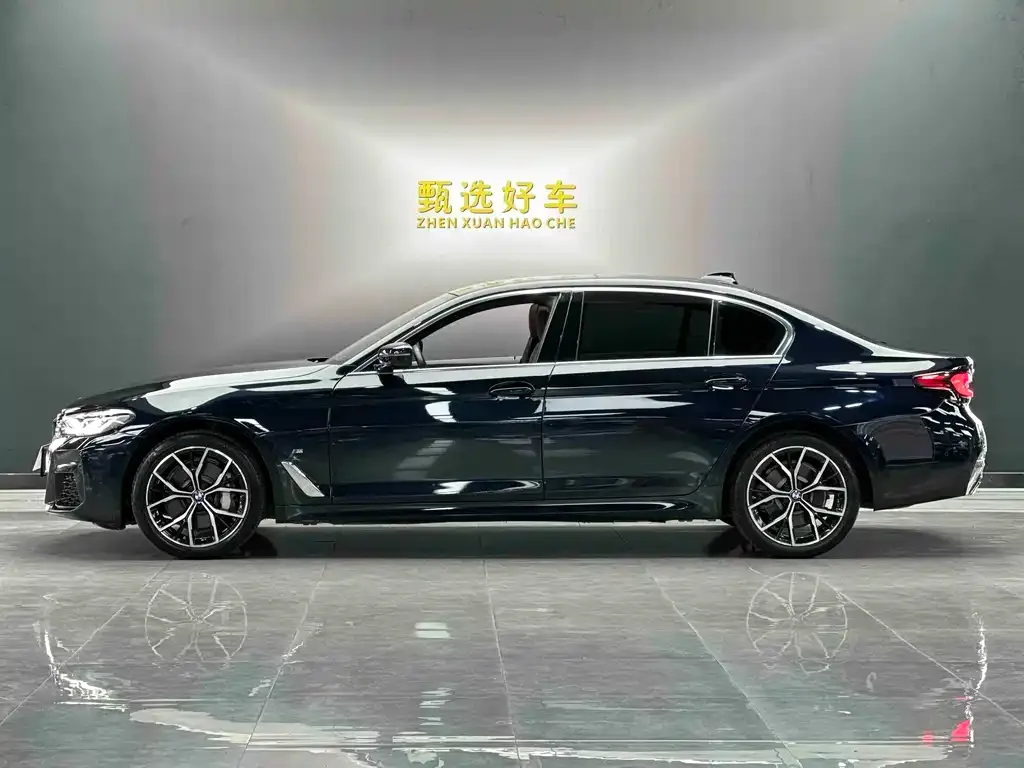 BMW 5 Series 2023 из CN, фото 4