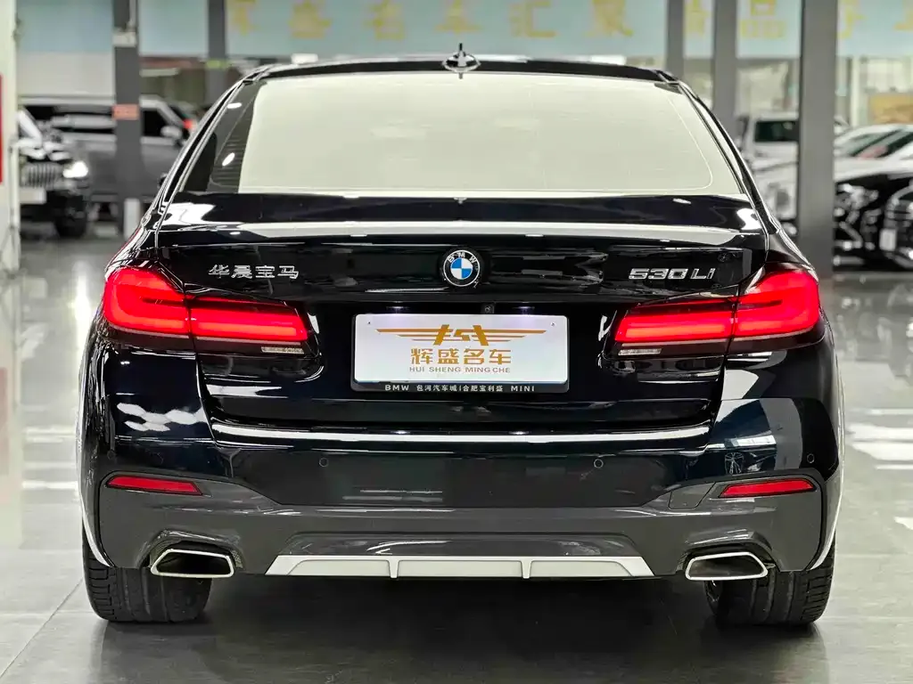 BMW 5 Series 2023 из CN, фото 8