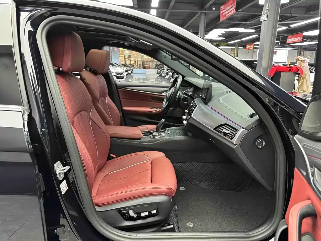 BMW 5 Series 2023 из CN, фото 9