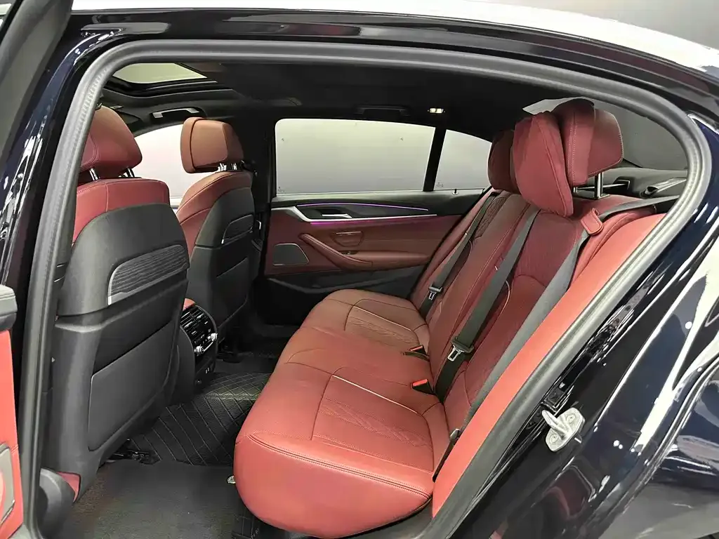 BMW 5 Series 2023 из CN, фото 6