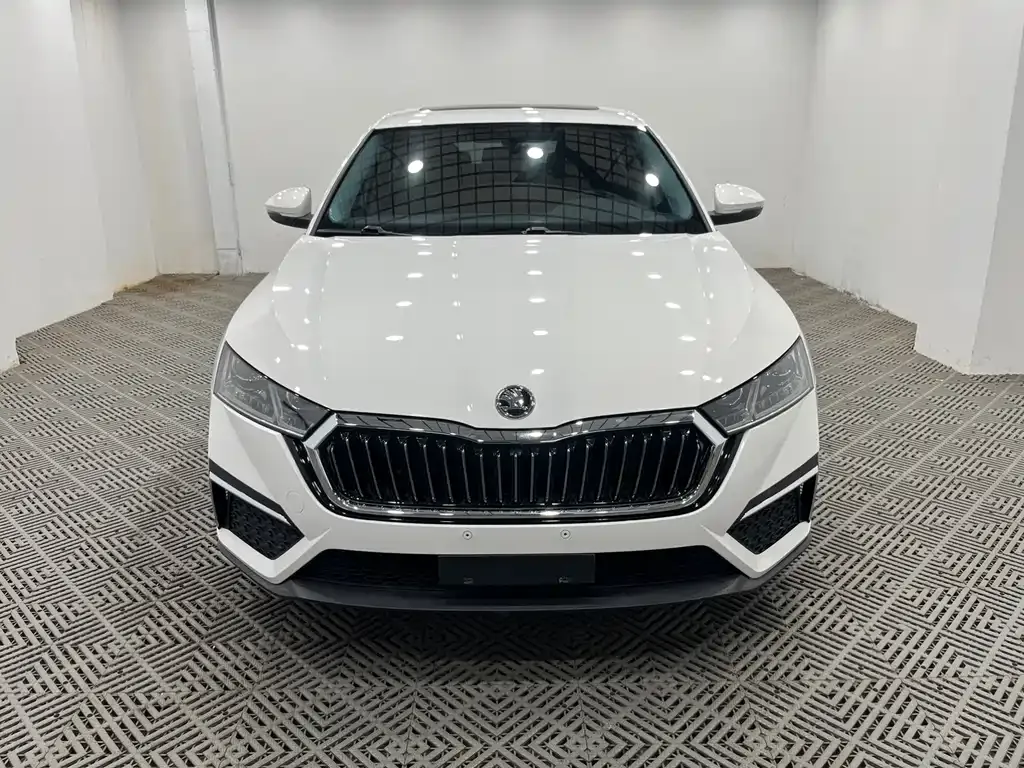Skoda Octavia 2021 из CN, фото 6