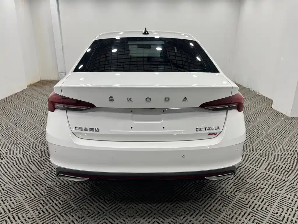Skoda Octavia 2021 из CN, фото 8