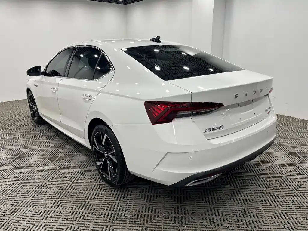 Skoda Octavia 2021 из CN, фото 9