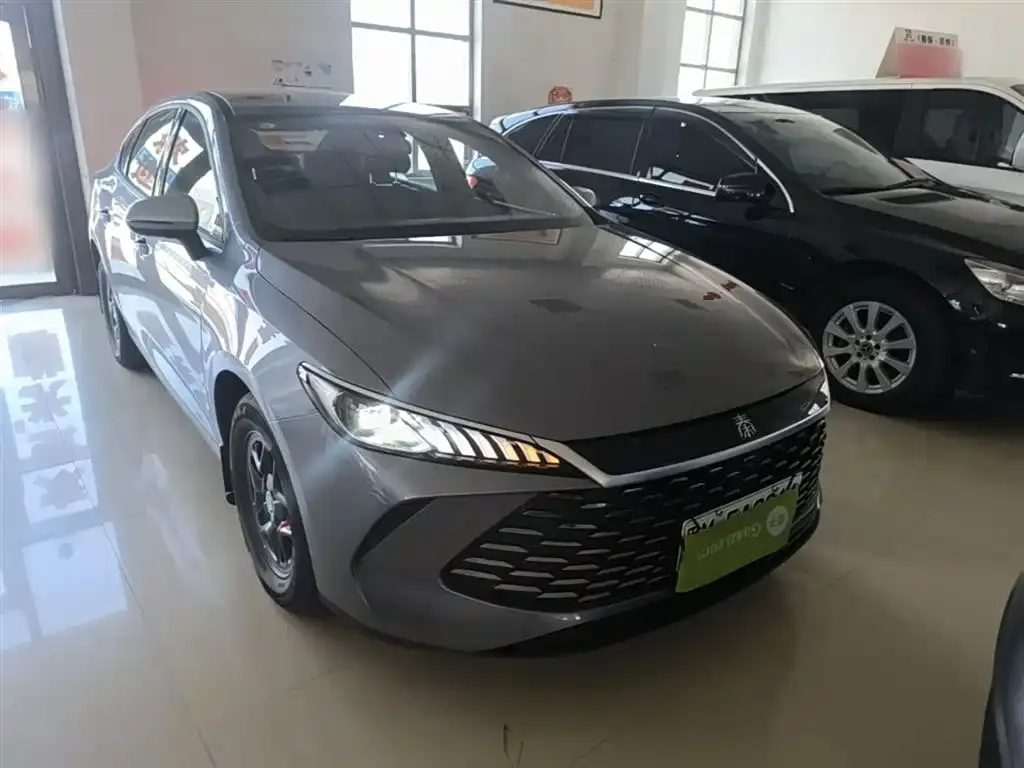 BYD Qin PLUS — фото 2