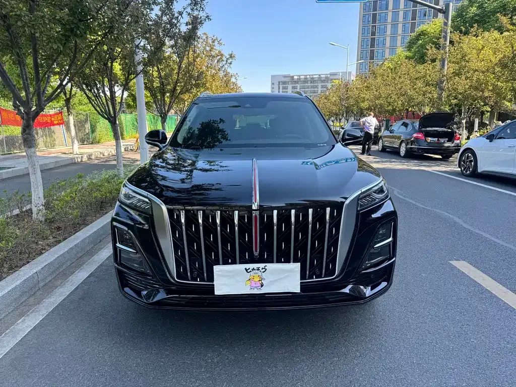 Hongqi HS5 2024 из CN, фото 9