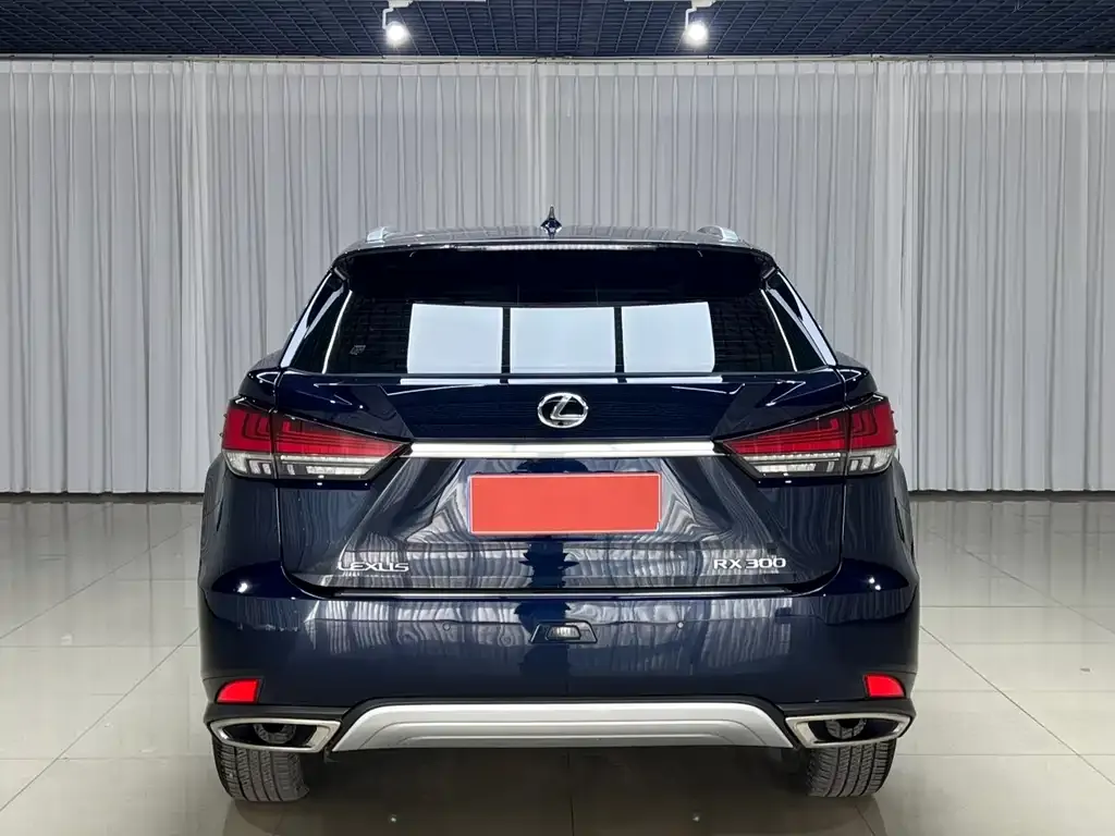 Lexus RX — фото 4