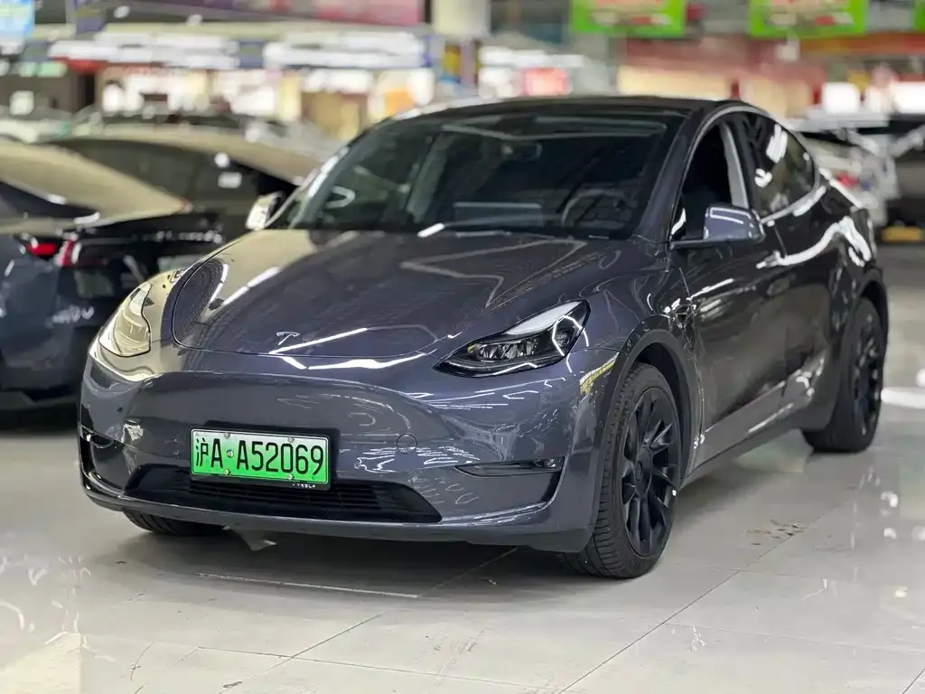Tesla Model Y — фото 1
