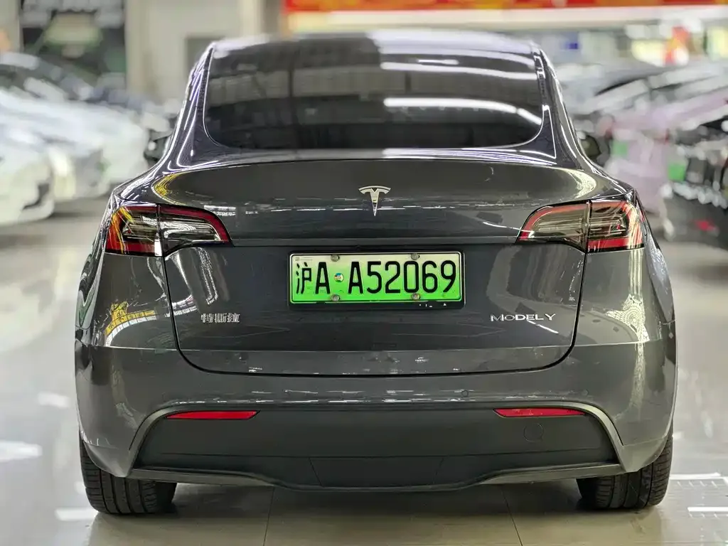 Tesla Model Y — фото 9