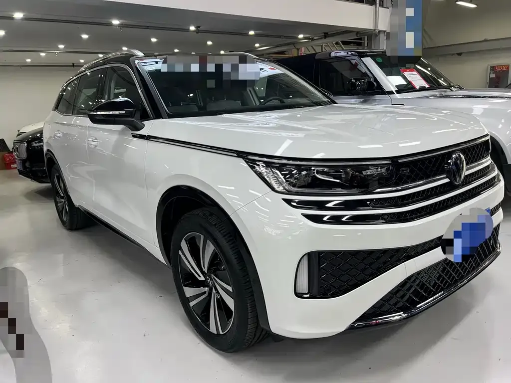 Volkswagen Tavendor 2024 из CN, фото 5