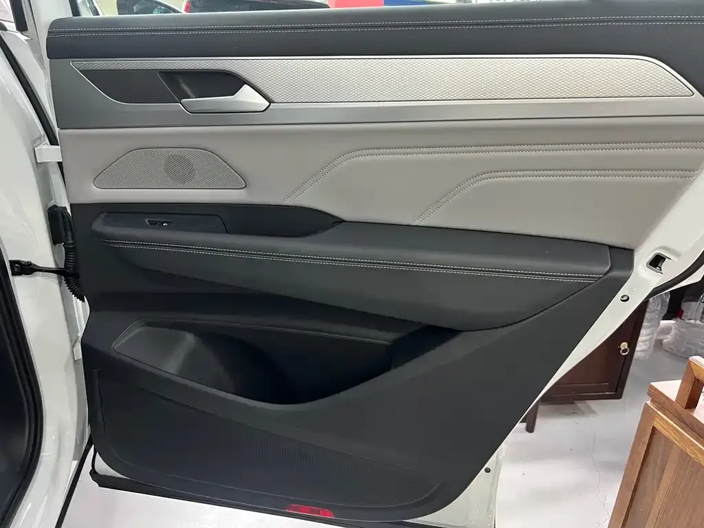 Volkswagen Tavendor 2024 из CN, фото 4