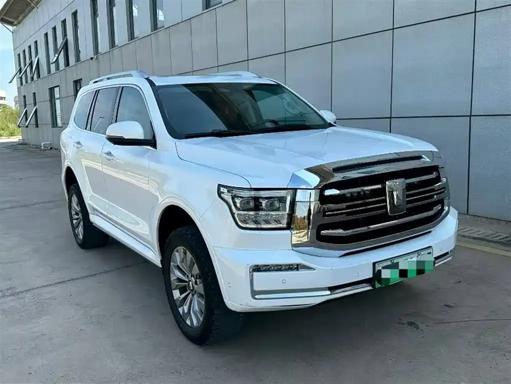 Tank 500 New Energy 2024 из CN, фото 6