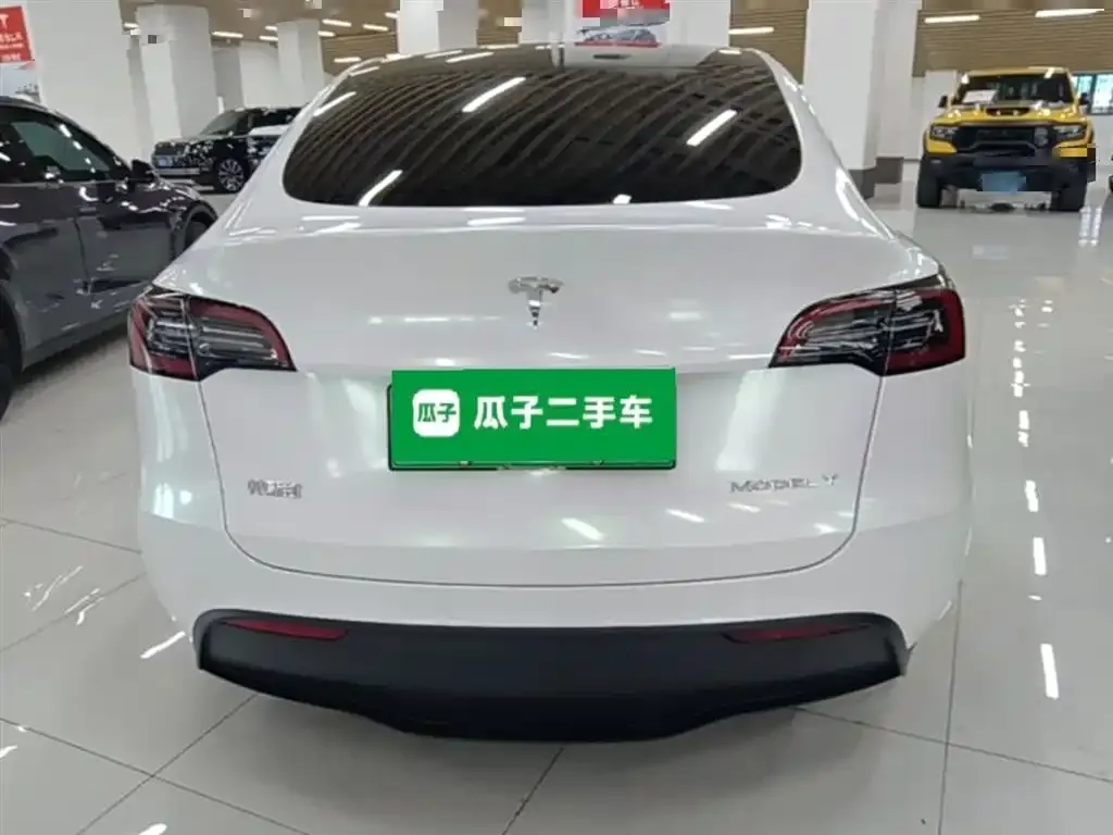 Tesla Model Y — фото 10