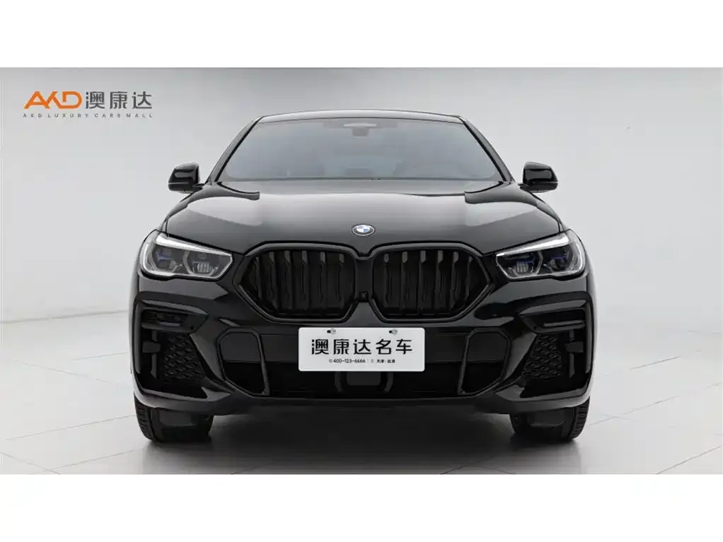BMW X6 2022 из CN, фото 6